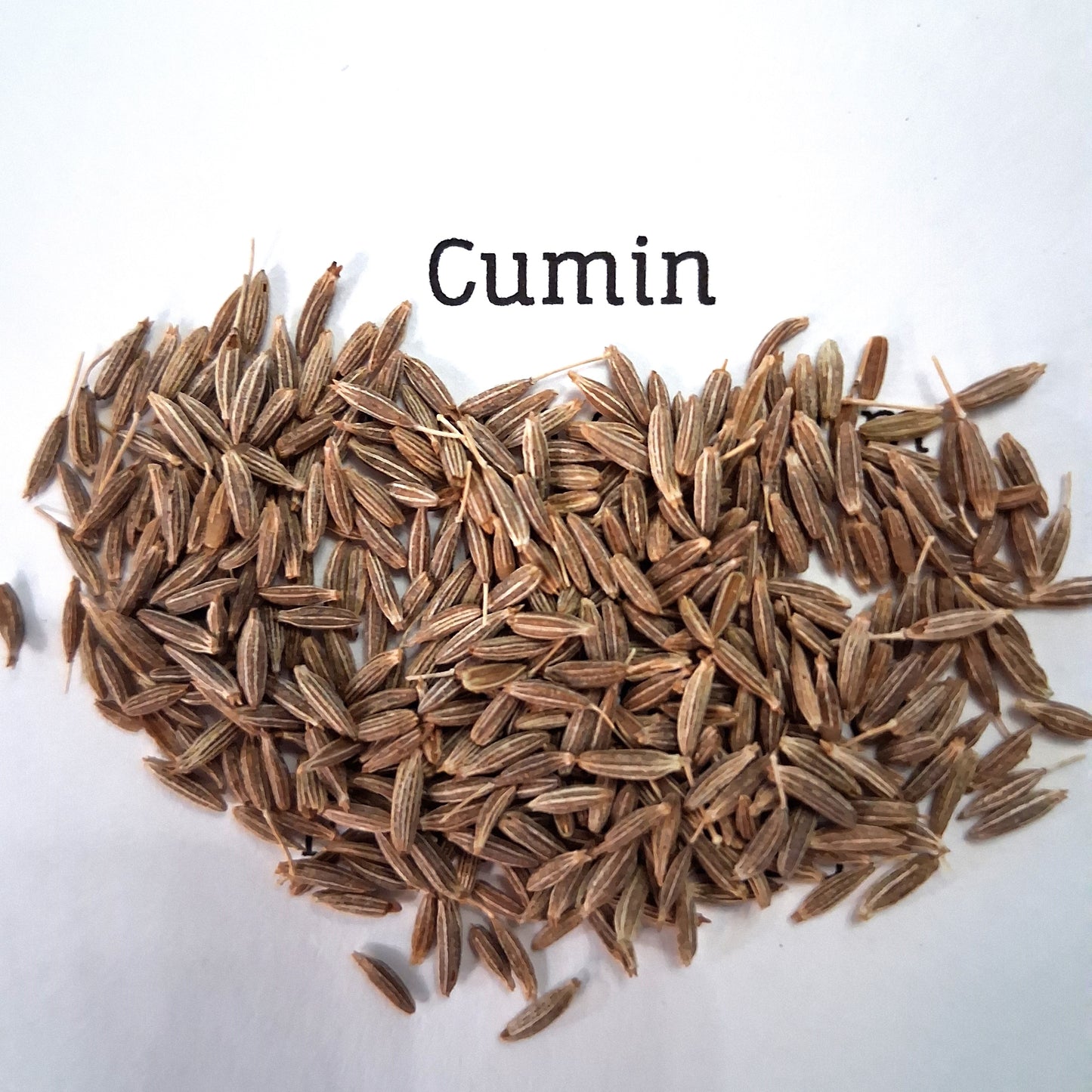 Heirloom Cumin Seeds