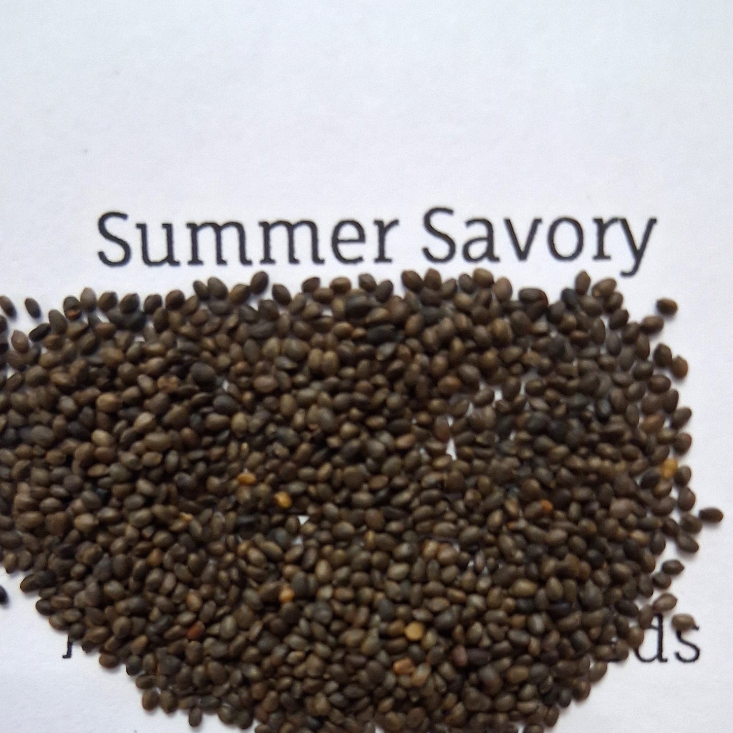 Heirloom Summer Savory Seed