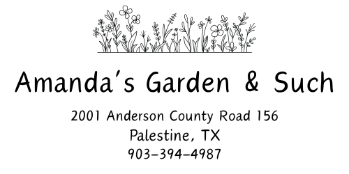 Amanda's Garden and Such
