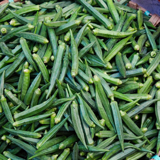 Clemson Spineless Okra Seed